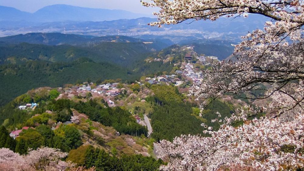 Yoshino mountain