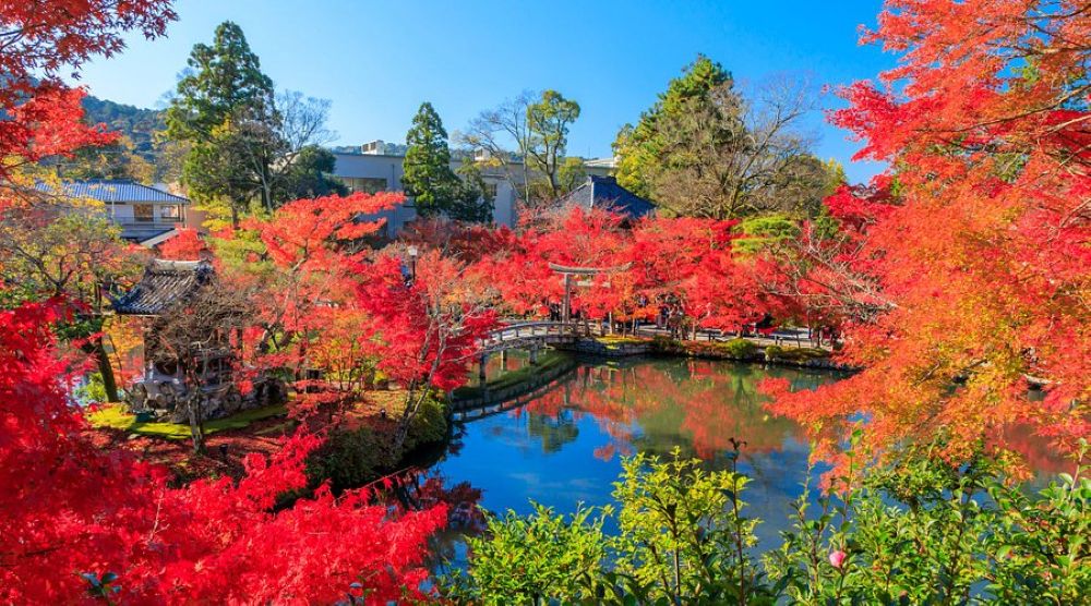 Eikando Temple with red maple leaves