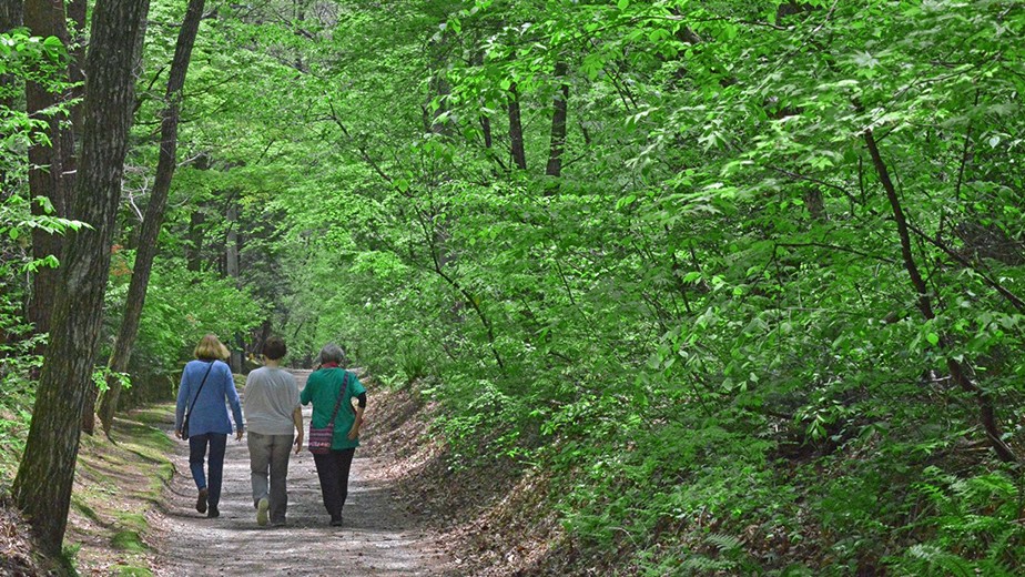 Karuizawa forest trail