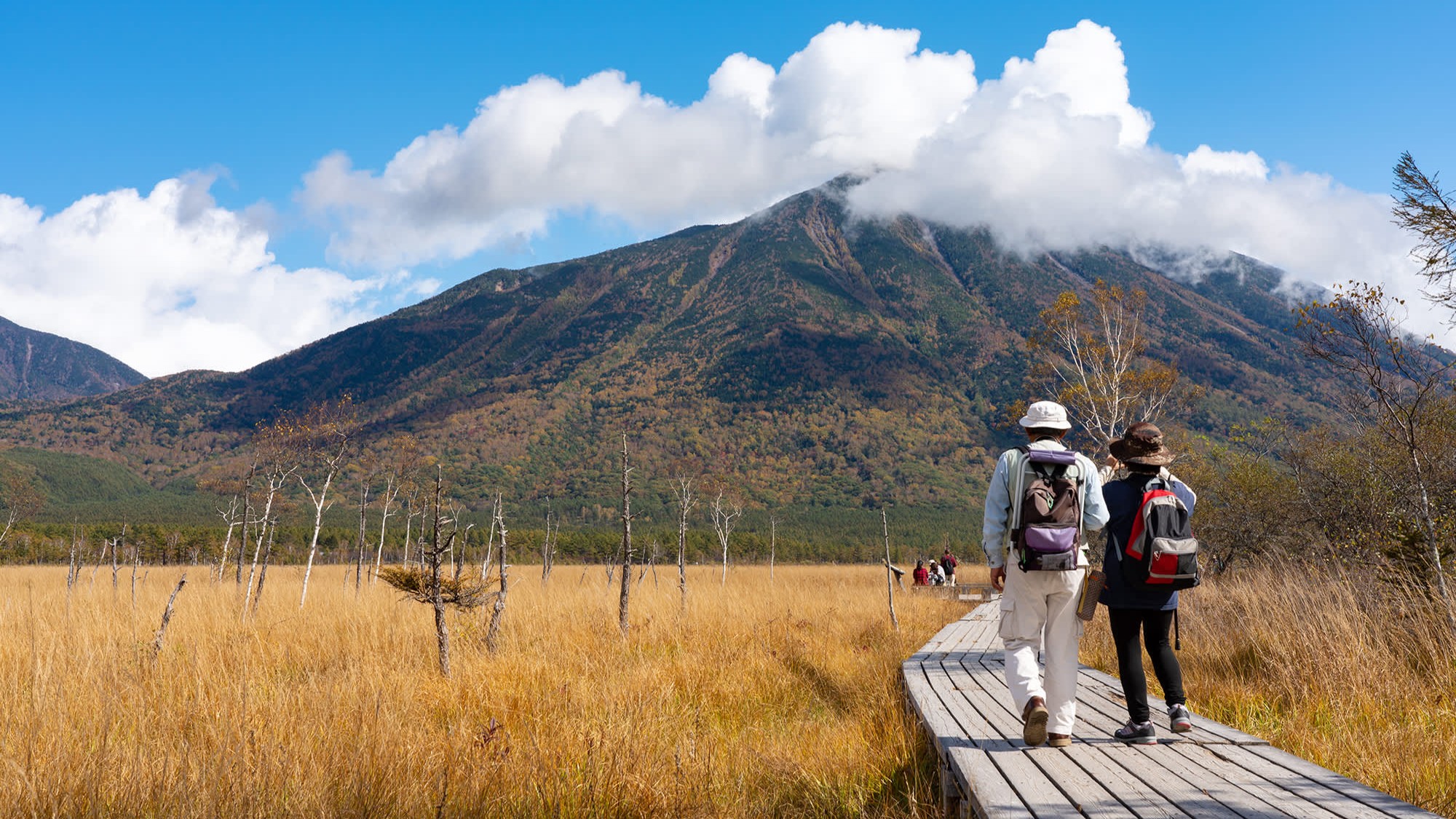 Nikko trail