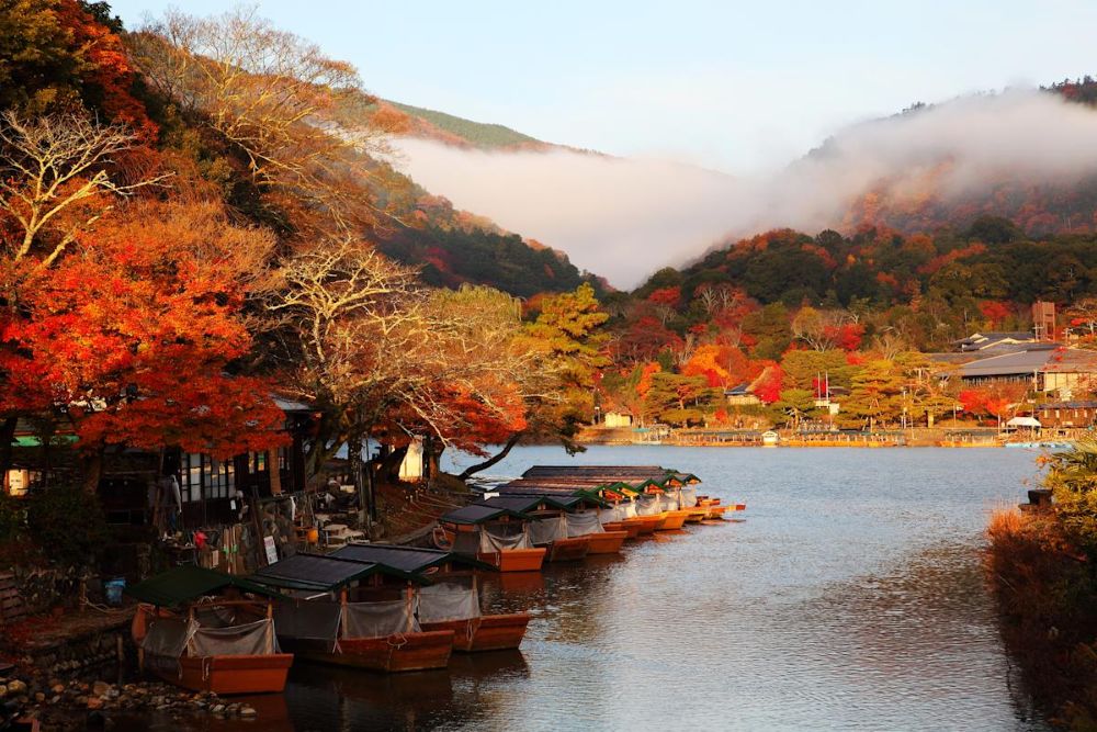 autumn leaves background in Arashiyama