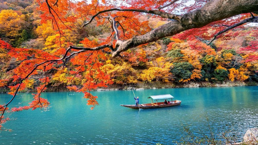 Panduan Lengkap Wisata Musim Gugur di Jepang 2025: Daun Merah & Kuning Memukau!