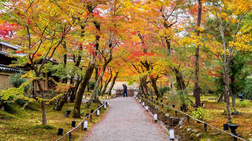 Itinerary Terbaik 5 Hari untuk Liburan Musim Gugur di Jepang 2025 yang Wajib Dicoba!