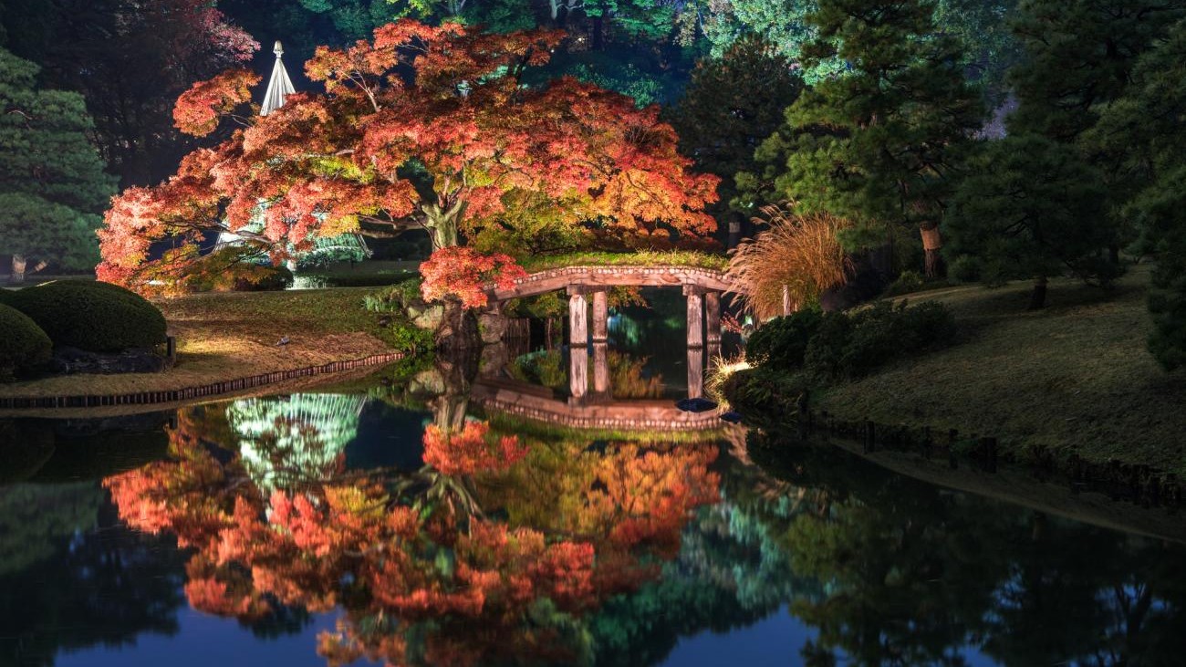 night illumination at Rikugien Garden
