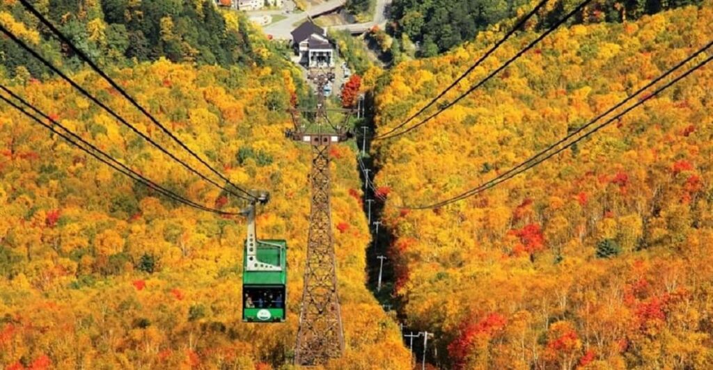 destinasi Jepang November 2025, liburan musim gugur Jepang, awal musim dingin Jepang, transisi musim di Jepang, tempat wisata Jepang November, wisata Jepang akhir tahun, rekomendasi tempat November Jepang
