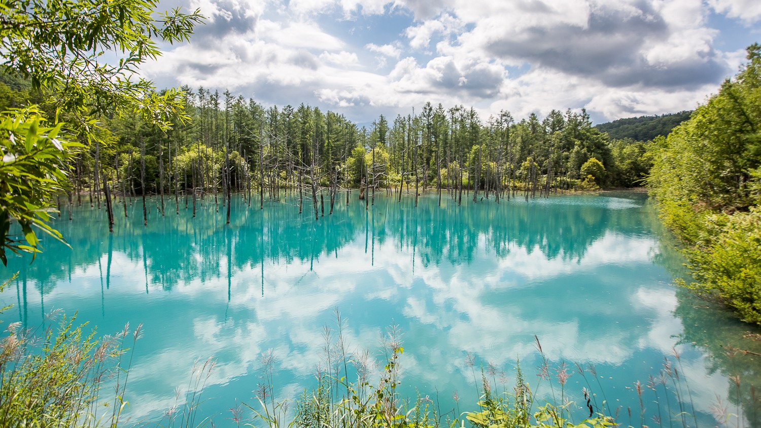 Blue Pond