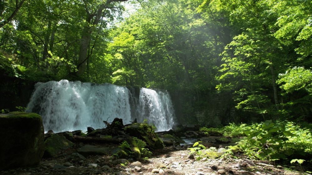 Oirase Gorge