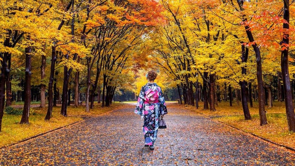 Menakjubkan! Itinerary Jepang 7 Hari di Musim Gugur 2025 – Daun Merah & Kuliner Khas