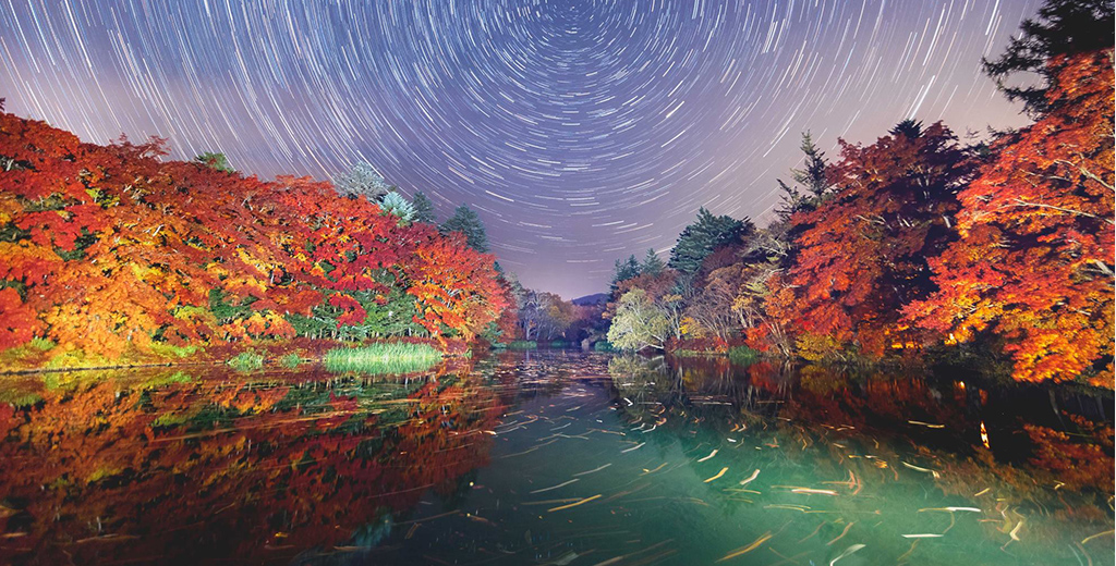 destinasi Jepang November 2025, liburan musim gugur Jepang, awal musim dingin Jepang, transisi musim di Jepang, tempat wisata Jepang November, wisata Jepang akhir tahun, rekomendasi tempat November Jepang