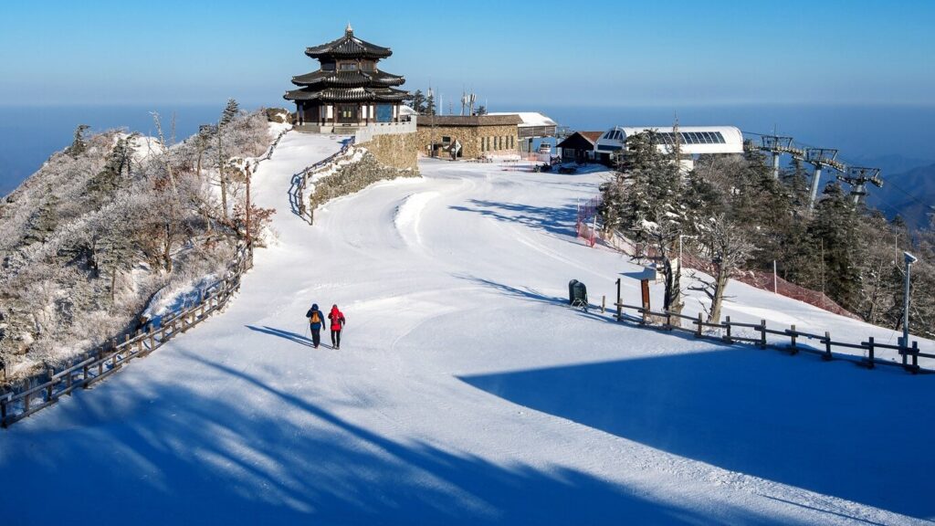 Menakjubkan! Wisata Salju Awal di Jepang: Snow Trekking & Snowmobile Desember 2025