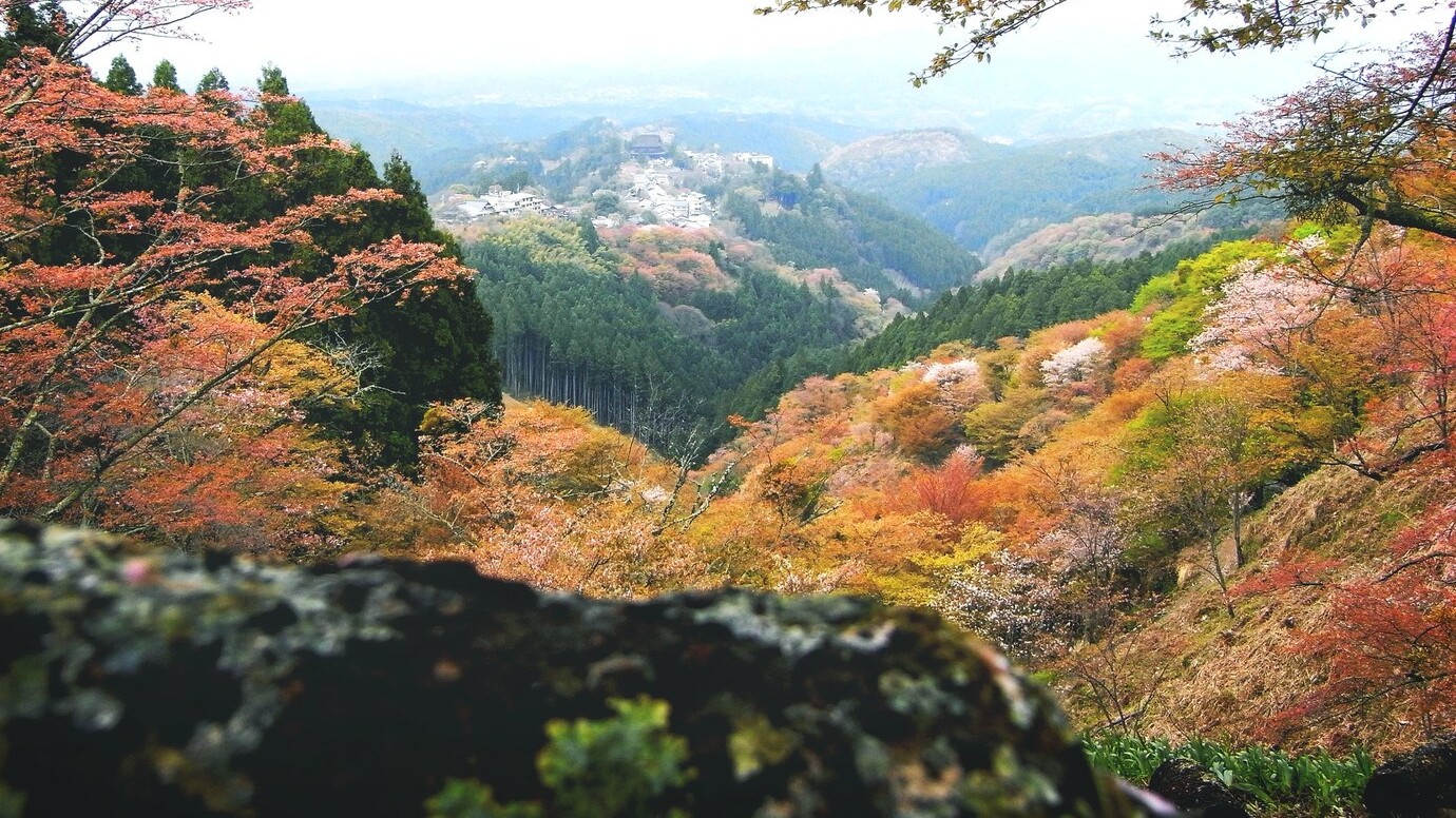 gunung berselimut daun merah di Jepang