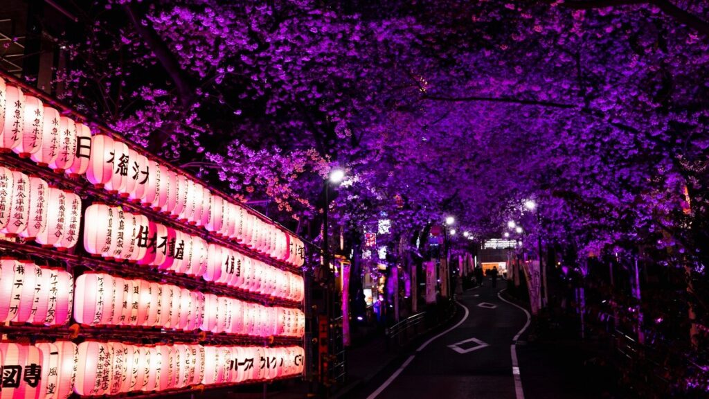Mempesona! Iluminasi Musim Dingin di Jepang Terindah untuk Liburan November–Desember 2025