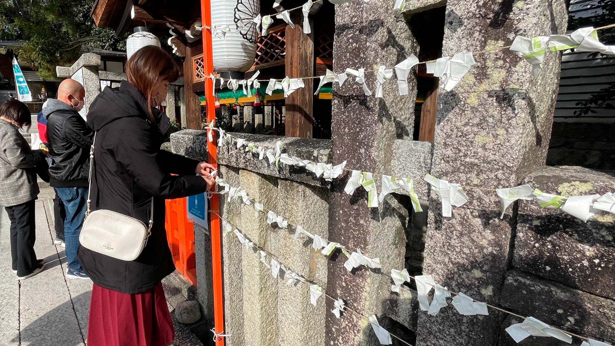 omikuji tied on trees