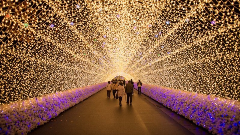 tunnel of lights in Nabana no Sato