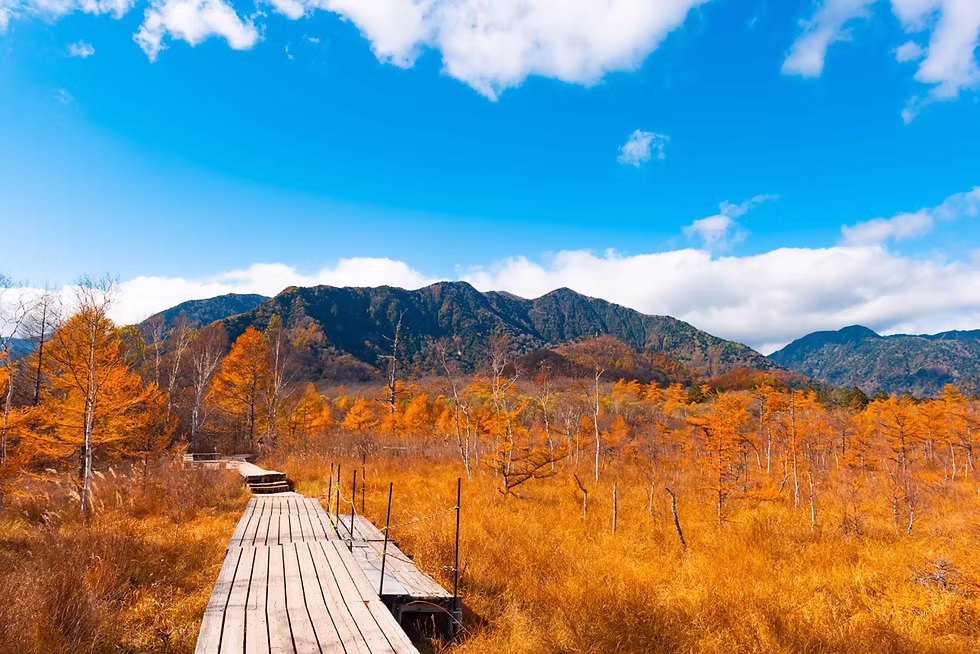 Itinerary 5 Hari di Jepang