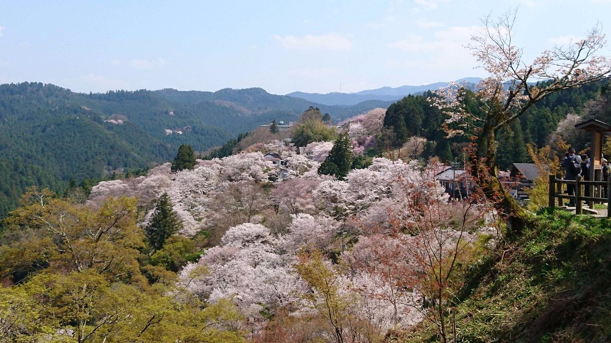 Lembah tersembunyi di Gunung Yoshino