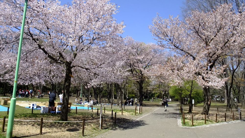 Maruyama Park