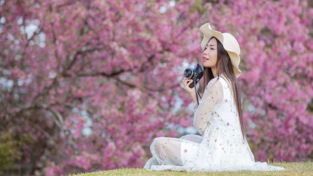 Keindahan Tersembunyi: 5 Spot Sakura Tersembunyi di Jepang yang Jarang Diketahui Wisatawan