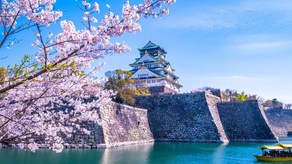 Hanami Di Jepang Review Wajib Kamu Tahu Sebelum ke Jepang!