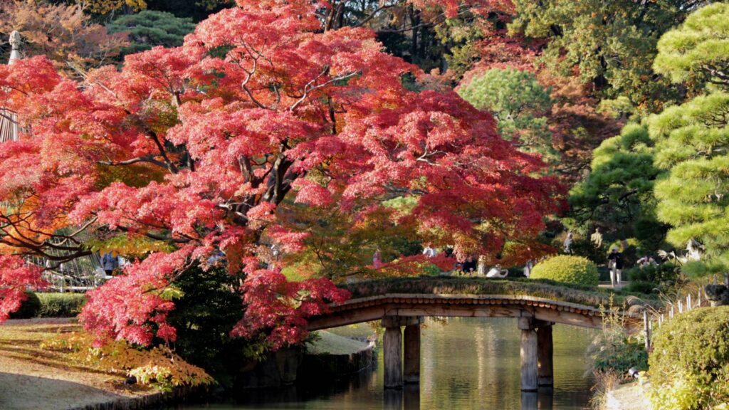 itinerary 5 hari di Jepang