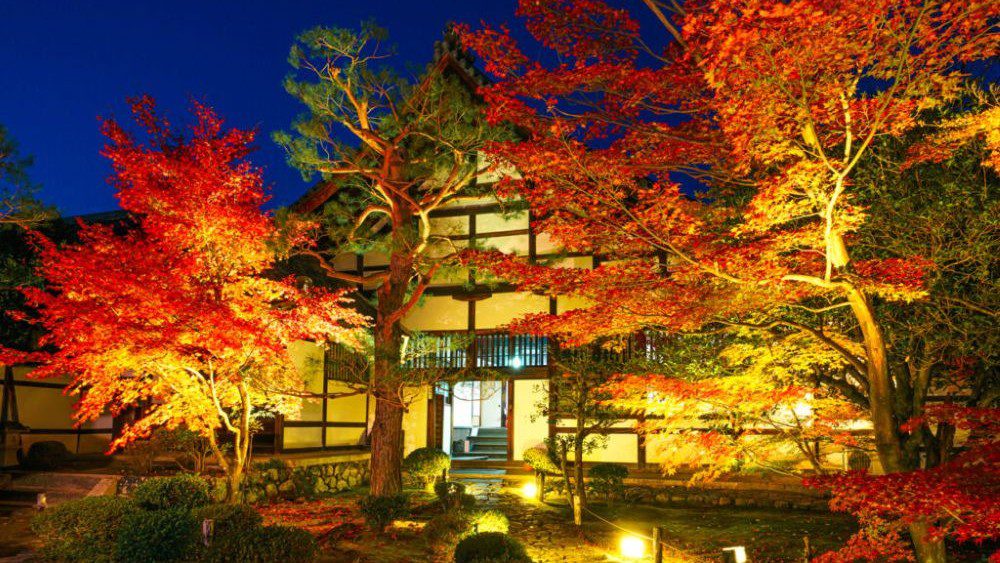 Liburan Musim Gugur Di Jepang 2025 Wajib Kamu Tahu Sebelum ke Jepang!