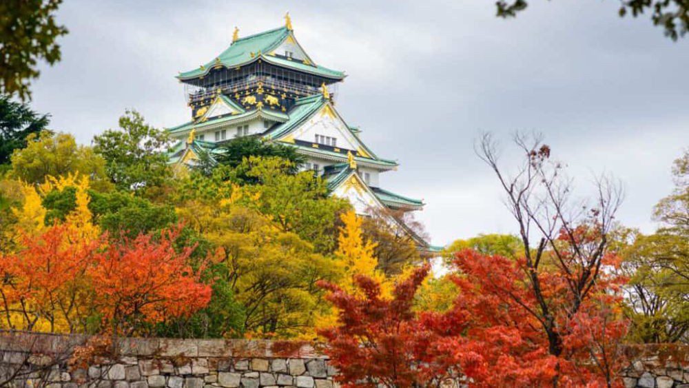 Liburan Musim Gugur Di Jepang 2025 Wajib Kamu Tahu Sebelum ke Jepang!