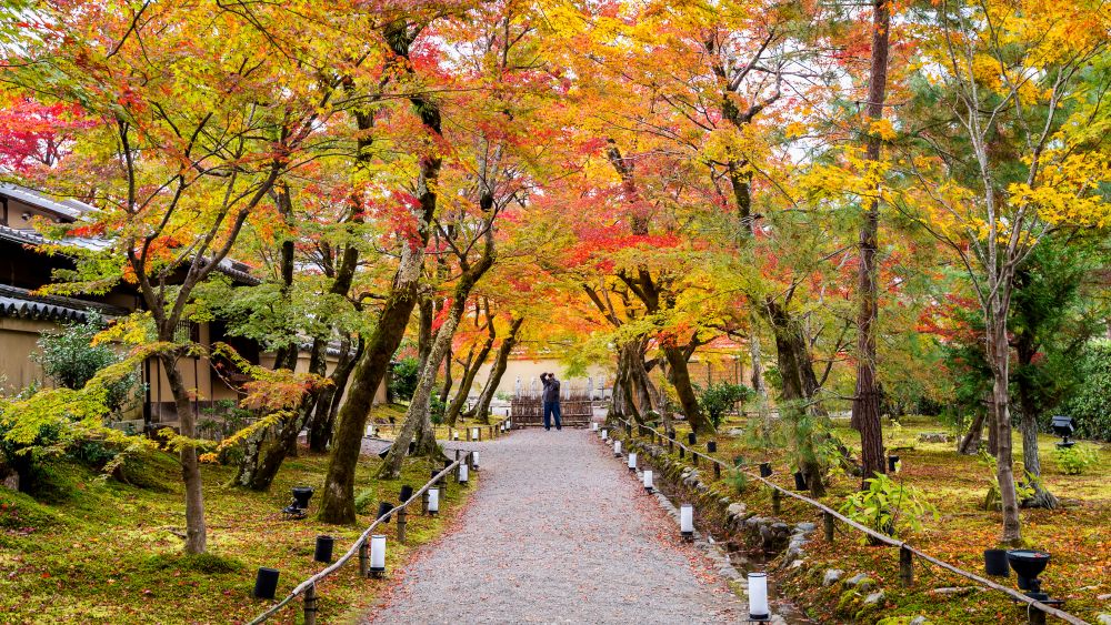 Liburan Musim Gugur Di Jepang Review Wajib Kamu Tahu Sebelum ke Jepang!
