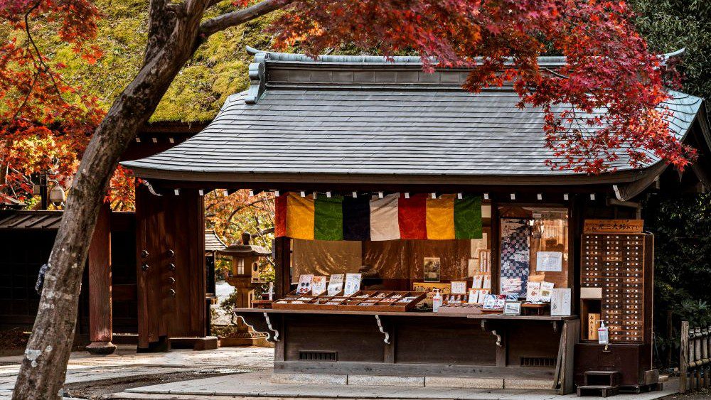 Desa Tradisional Jepang Untuk Keluarga Wajib Kamu Tahu Sebelum ke Jepang!