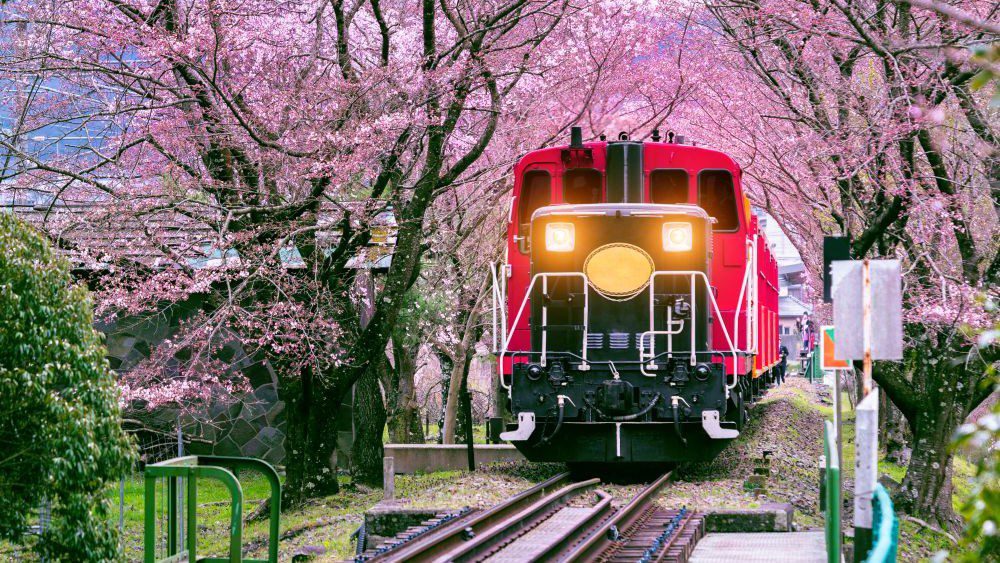 Kereta Di Jepang Termurah Wajib Kamu Tahu Sebelum ke Jepang!