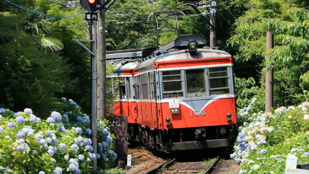 Transportasi Umum Jepang Untuk Keluarga Wajib Kamu Tahu Sebelum ke Jepang!
