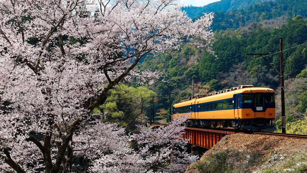 Panduan Wisata Jepang Tips Lengkap Wajib Kamu Tahu Sebelum ke Jepang!