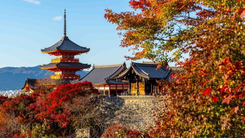 Liburan Musim Gugur Di Jepang Untuk Pasangan Wajib Kamu Tahu Sebelum ke Jepang!