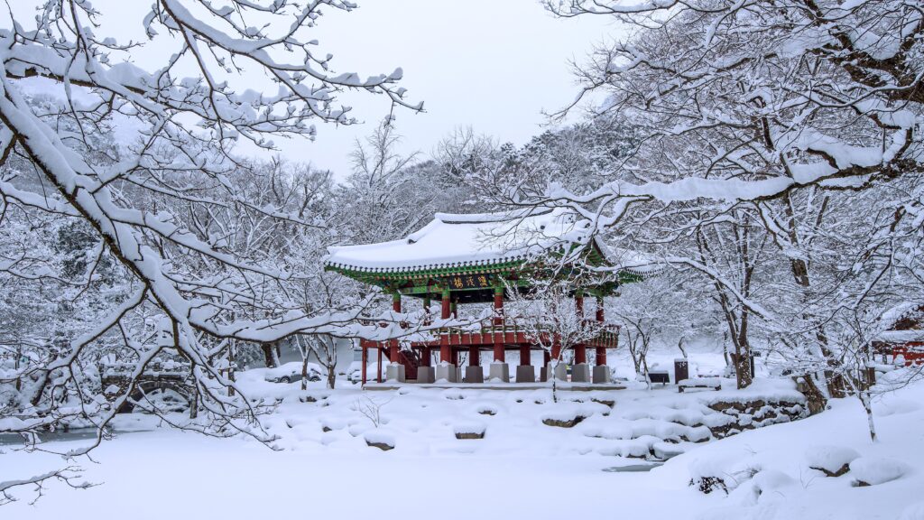 travel ke jepang musim dingin itinerary