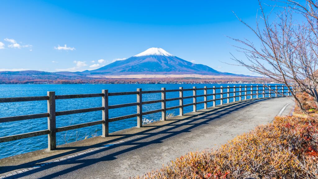 musim terbaik ke jepang termurah