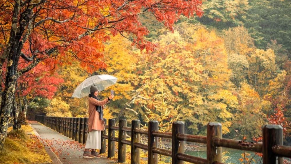 Liburan Musim Gugur Di Jepang Untuk Pasangan Wajib Kamu Tahu Sebelum ke Jepang!