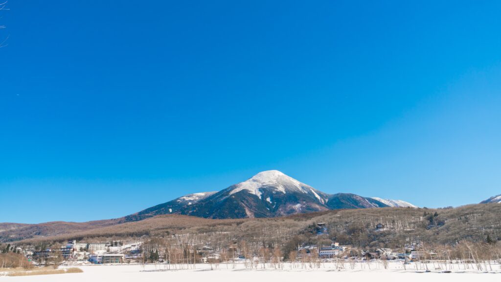 travel ke jepang musim dingin 2025