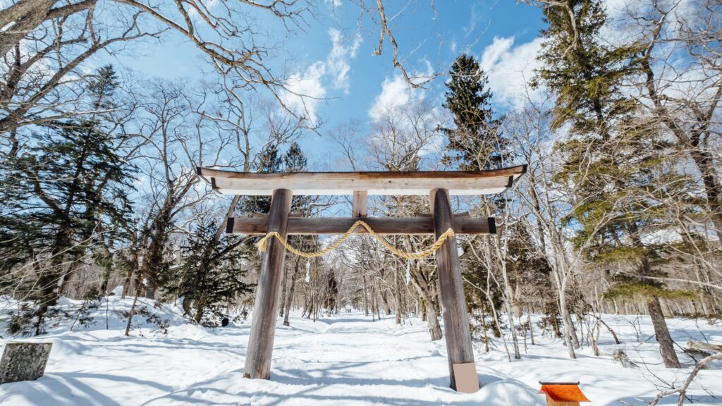 travel ke jepang musim dingin untuk pemula