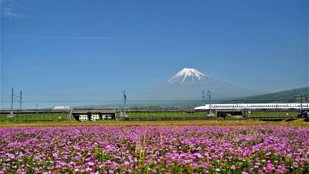 Cara Naik Shinkansen Untuk Pasangan Wajib Kamu Tahu Sebelum ke Jepang!
