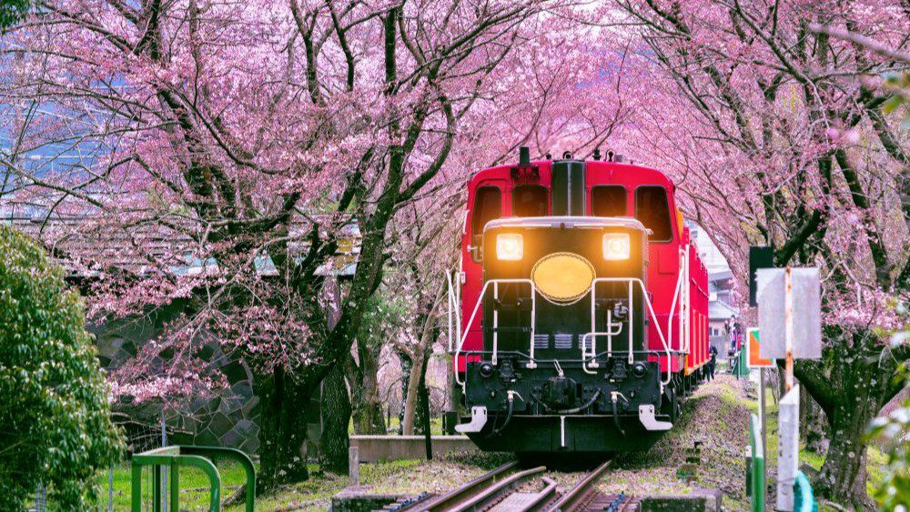 Kereta Di Jepang Terbaru Wajib Kamu Tahu Sebelum ke Jepang!