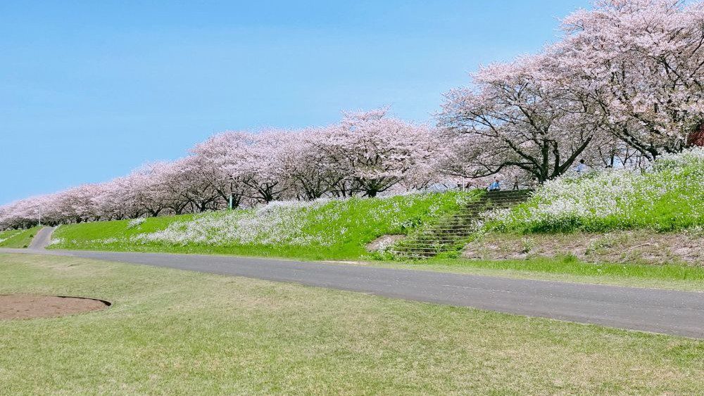 Budget Travel Jepang Untuk Pemula Wajib Kamu Tahu Sebelum ke Jepang!