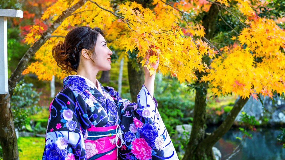 Musim Terbaik Ke Jepang 2025 Wajib Kamu Tahu Sebelum ke Jepang!