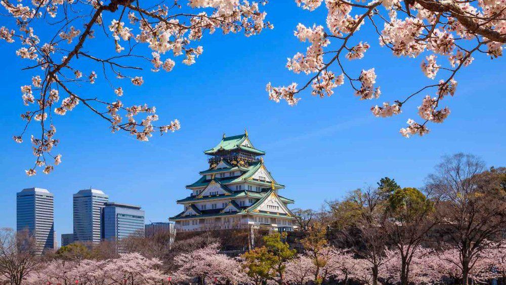 Osaka Castle Termurah Wajib Kamu Tahu Sebelum ke Jepang!