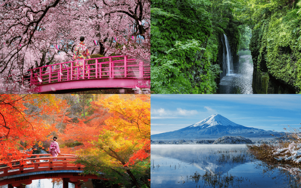 Musim Terbaik ke Jepang Itinerary