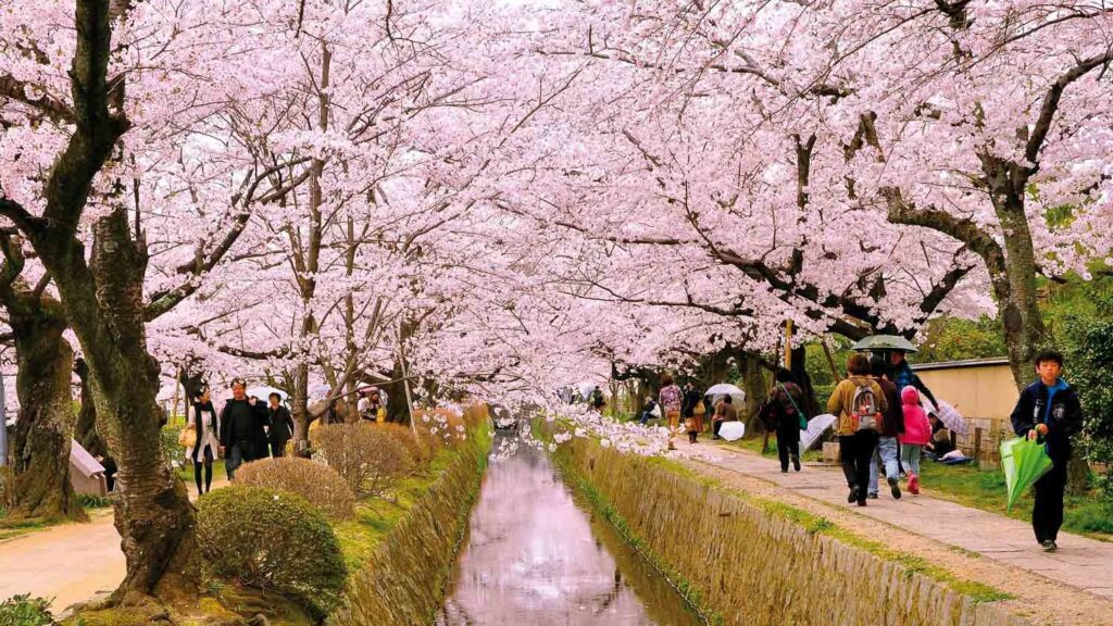 wisata jepang ramah muslim
