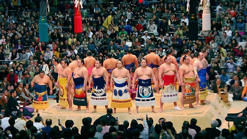 nonton sumo jepang