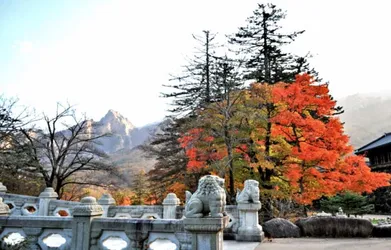 gangwon korea selatan musim gugur