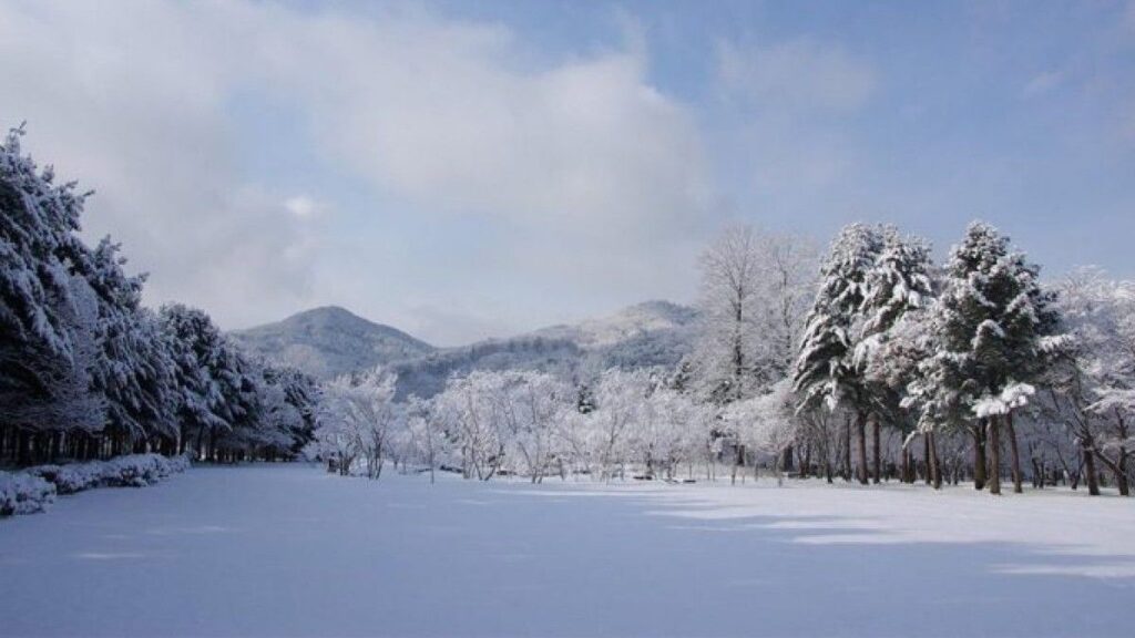 Nami Island