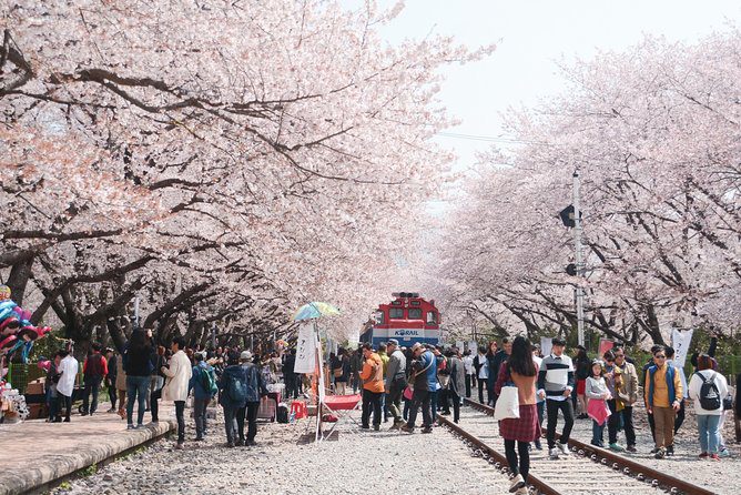 festival tradisional korea selatan