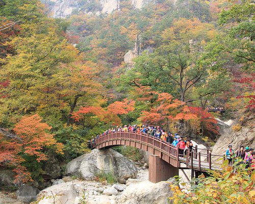 gangwon korea selatan musim gugur