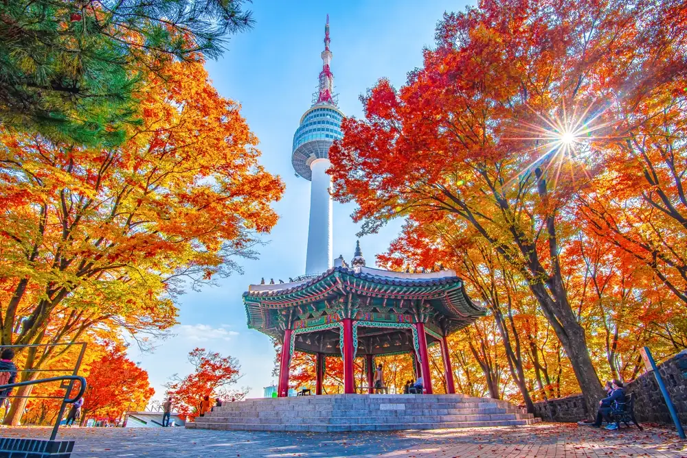 destinasi korea selatan untuk keluarga dan lansia